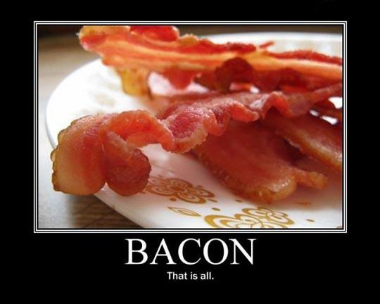 Bacon-that-is-all.jpg
