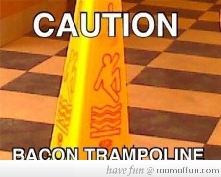 Bacon trampoline