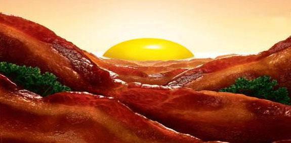 Bacon Morning