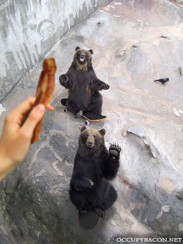 Teasing Bears