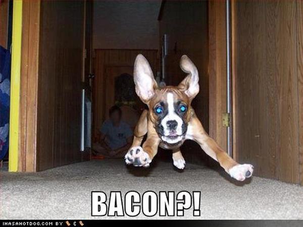 Bacon 2