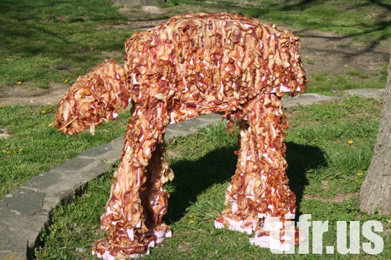Bacon Walker