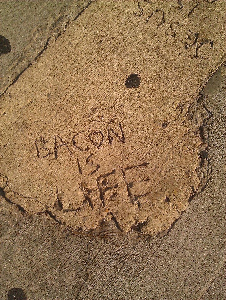 Bacon is Life