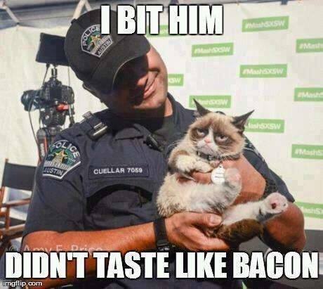 Cop Bacon